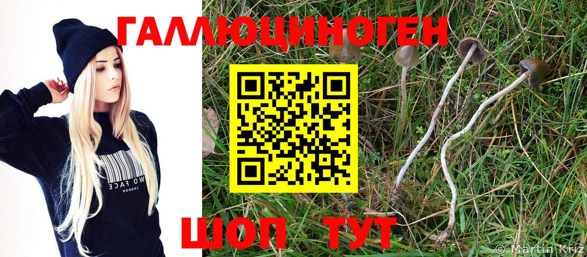 Псилоцибиновые грибы GOLDEN TEACHER Мариинск